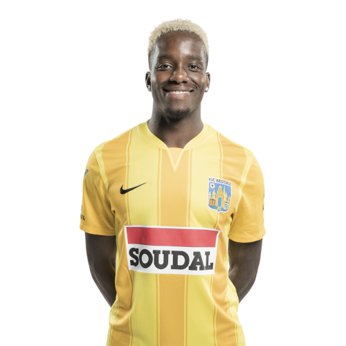 Adedire Awokoya-Mebude