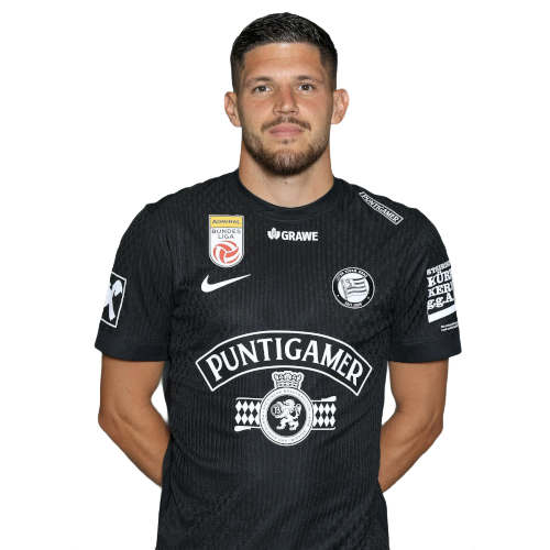 Emir Karic