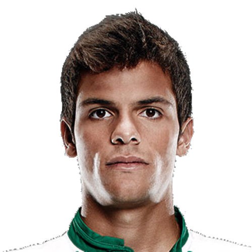 Andre Geraldes
