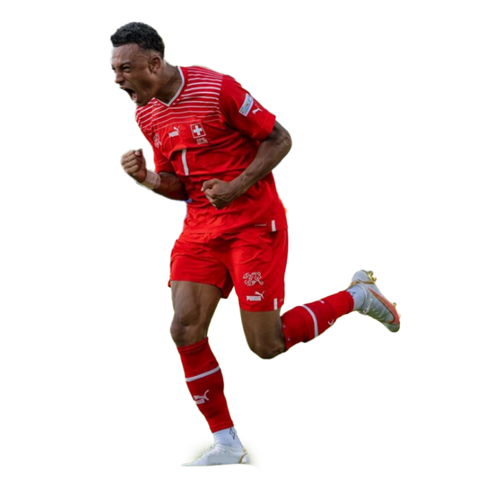 Dan Ndoye