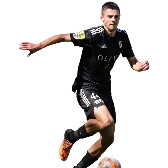Nikola Petković