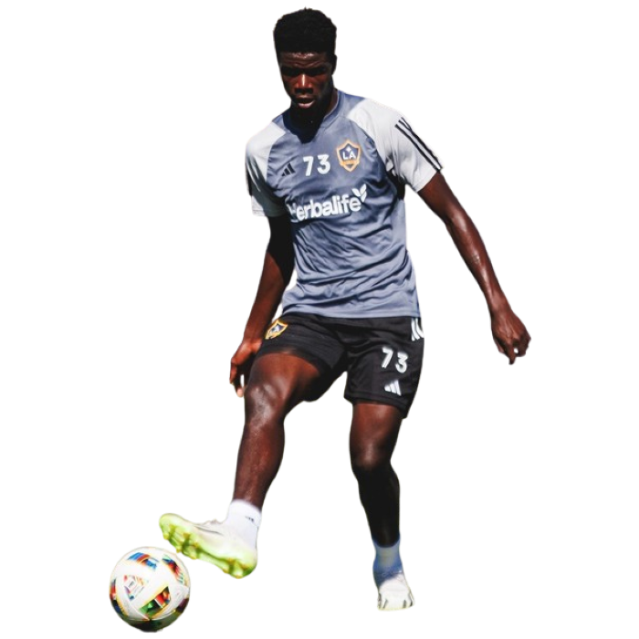 Aaron Bibout