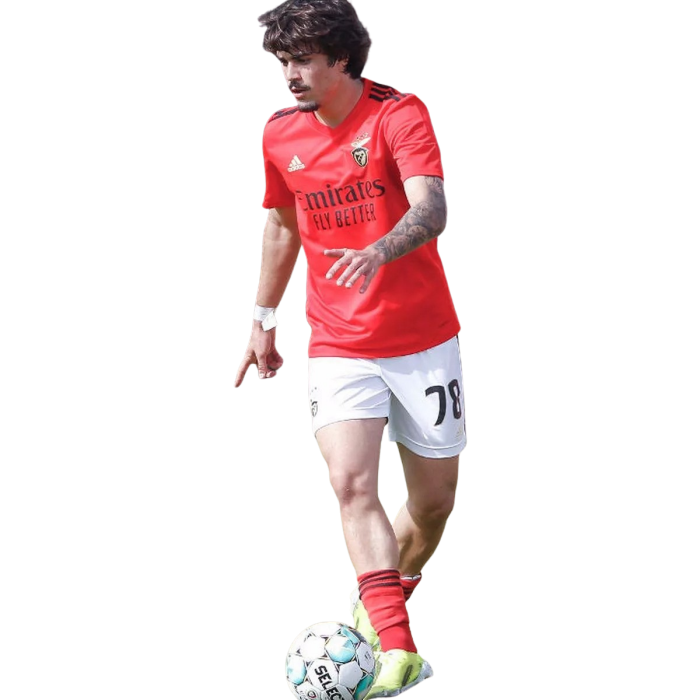 Tiago Alves Araújo