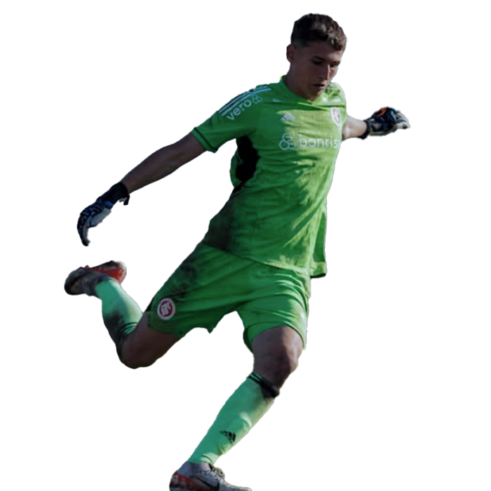 Henrique Menke