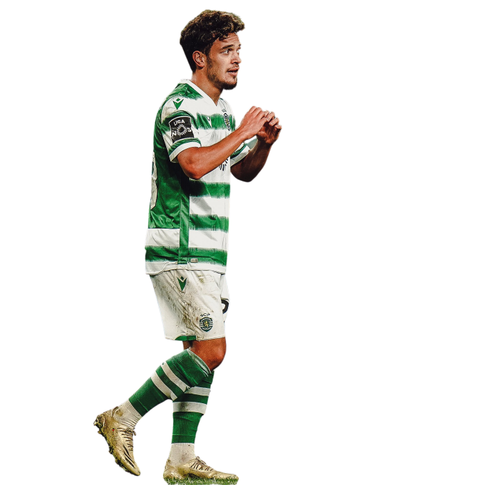 Pedro Gonçalves