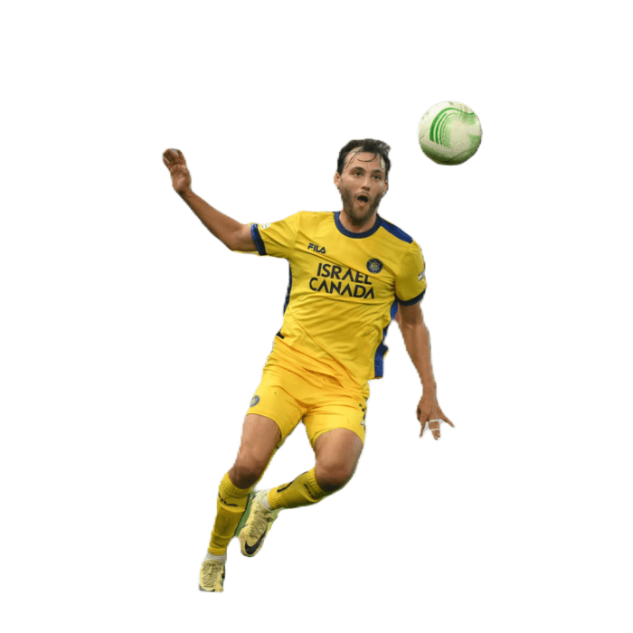 Joris van Overeem