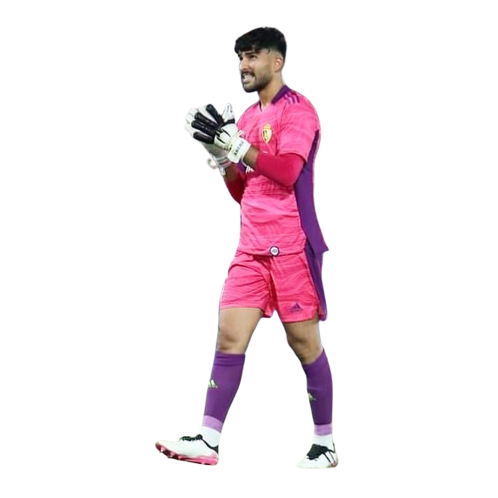 Amir Abedzadeh