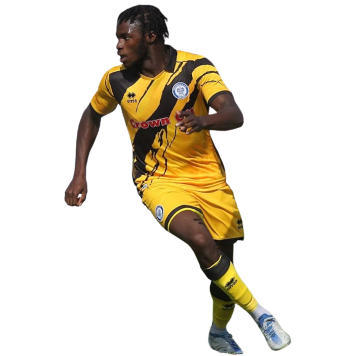Oluwafemi Seriki