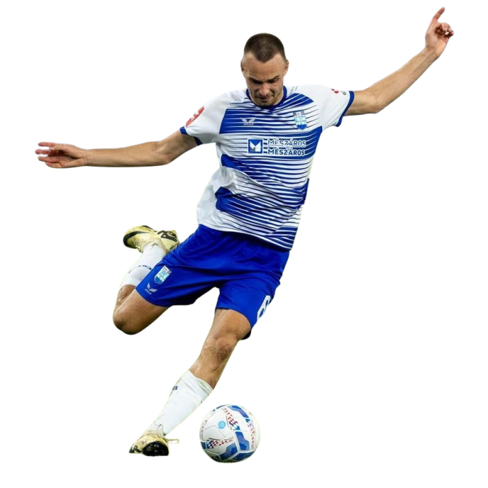 Darko Nejašmić