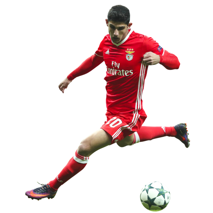 Gonçalo Guedes