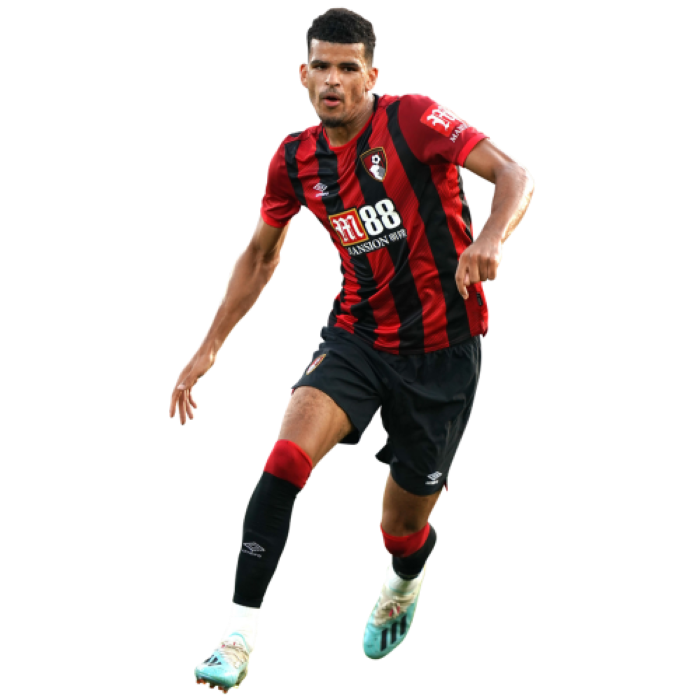 Dominic Solanke
