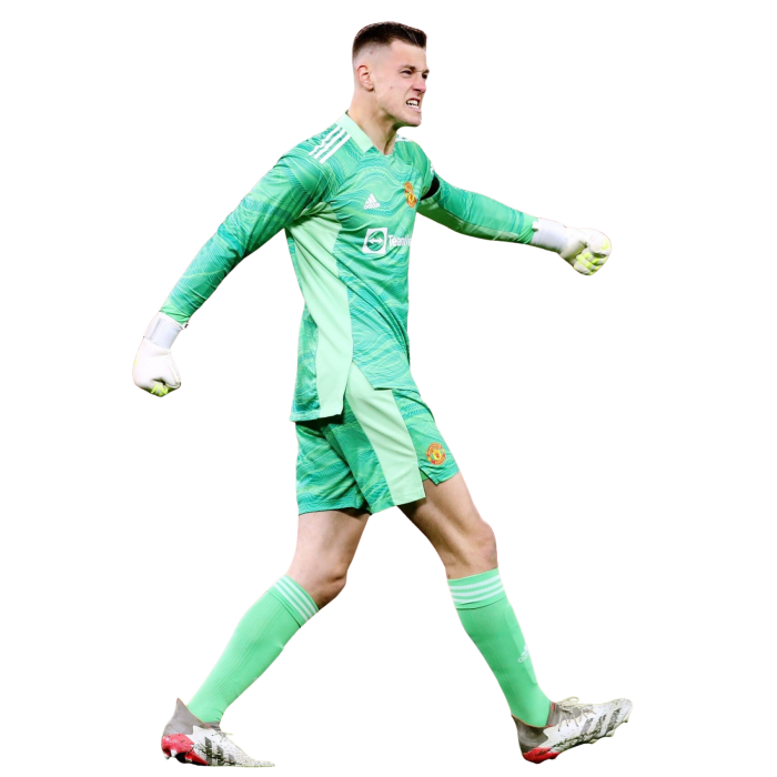 Radek Vítek