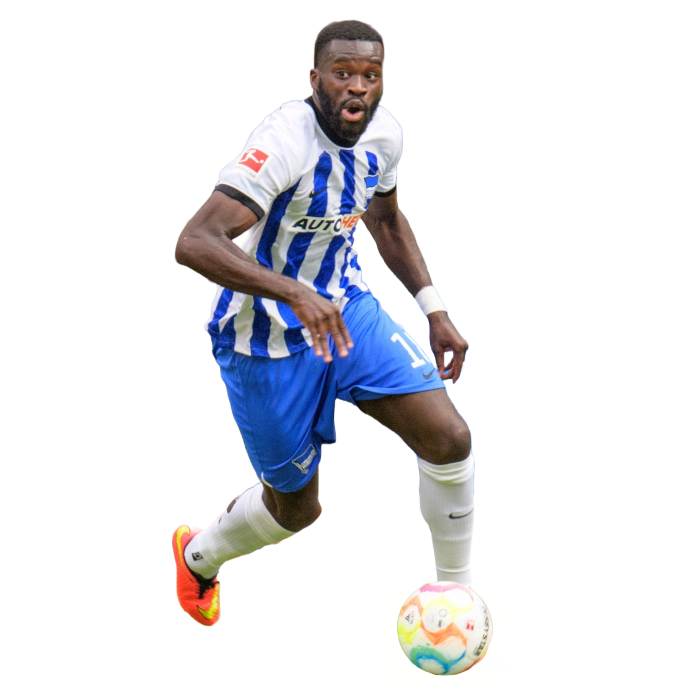 Wilfried Kanga