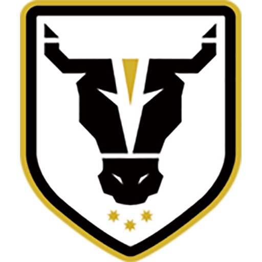 Bulls FC Academy