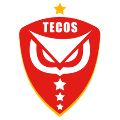 Tecos FC