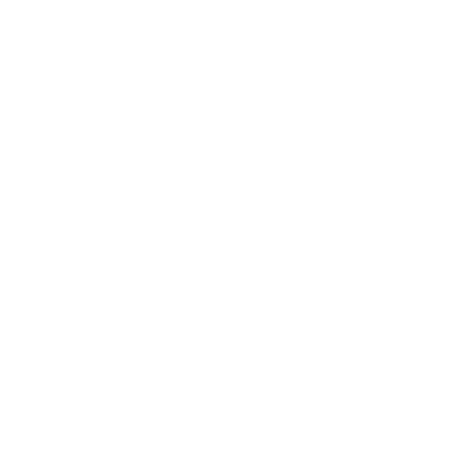 Metz II